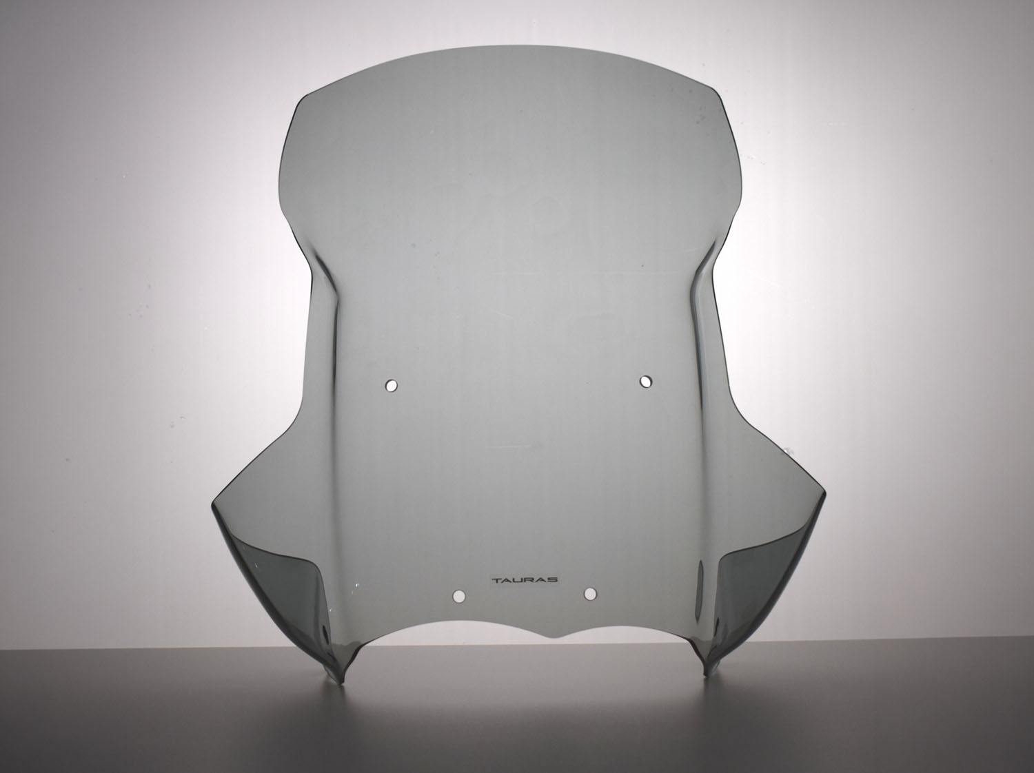 Cupolino BMW R 1200 GS caponord dal 2004 al 2012